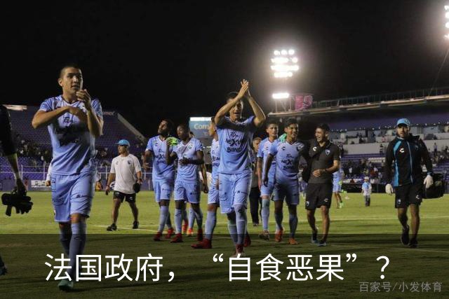 法国政府，“自食恶果”？